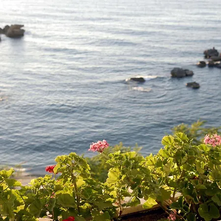 Hotel Doma 4*