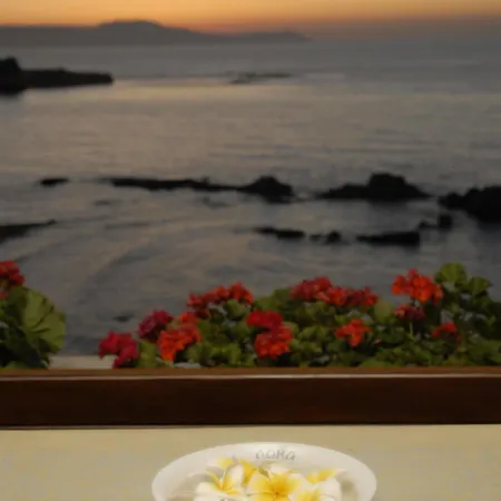 Hotel Doma